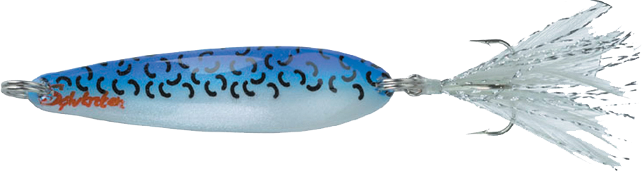 Sølvkroken Morild Seatrout - Blå