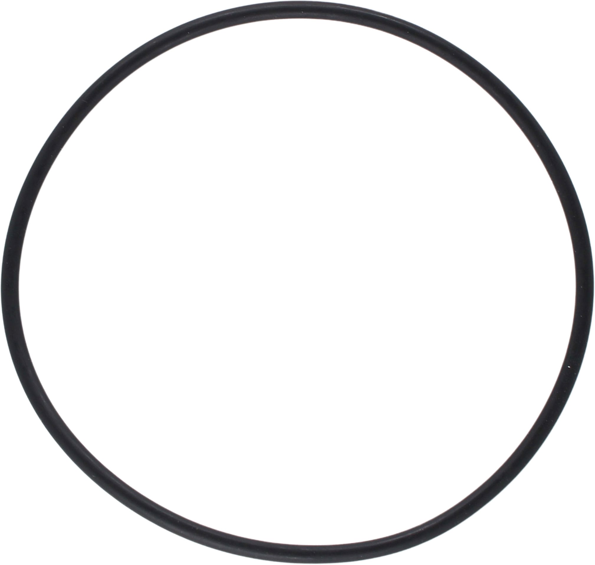 Pakning/o-ring til 3/4"(1007481)+ 1"(1007499) sjøvannsfilt