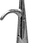Båtshakestuss, forkrommet