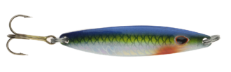 Falkfish Sard - 955 - Blue Yellow Nat. Holo