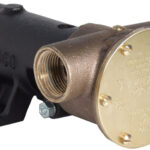Bronsepumpe BRZ PED 080 BSP