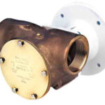 Bronsepumpe Impeller 2" HK 270 BSP NIO