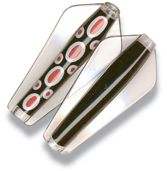 Tasmanian Devil - 84 Black Toad