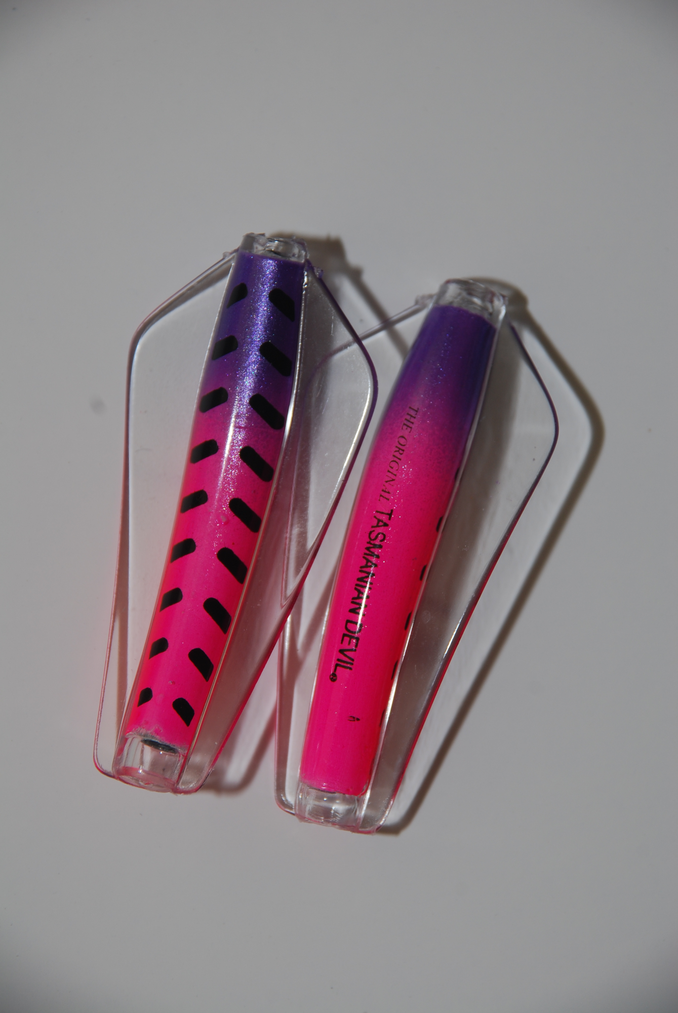 Tasmanian Devil - 96 Abigail 2 Tasmanian Devil - 96 Abigail - Bilde 2