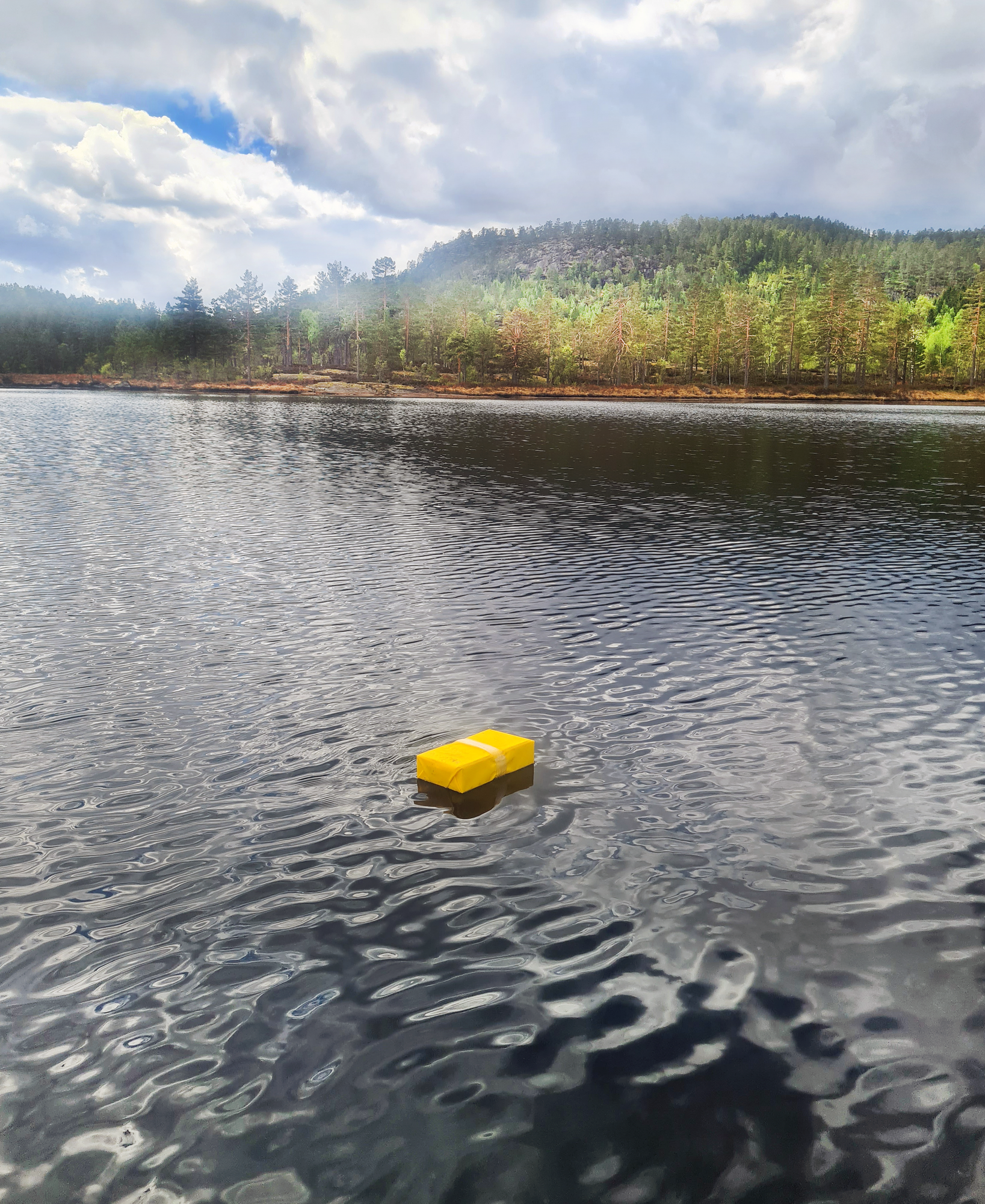 Osean Sniksnøre - Ferskvann - 25m - 5 stk kroker 4, 0.45 sene 2 Osean Sniksnøre - Ferskvann - 25m - 5 stk kroker 4, 0.45 sene - Bilde 2