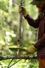 Brusletto Kniv Villmarka Stor - Gaveeske - 36 cm - Bilde 5