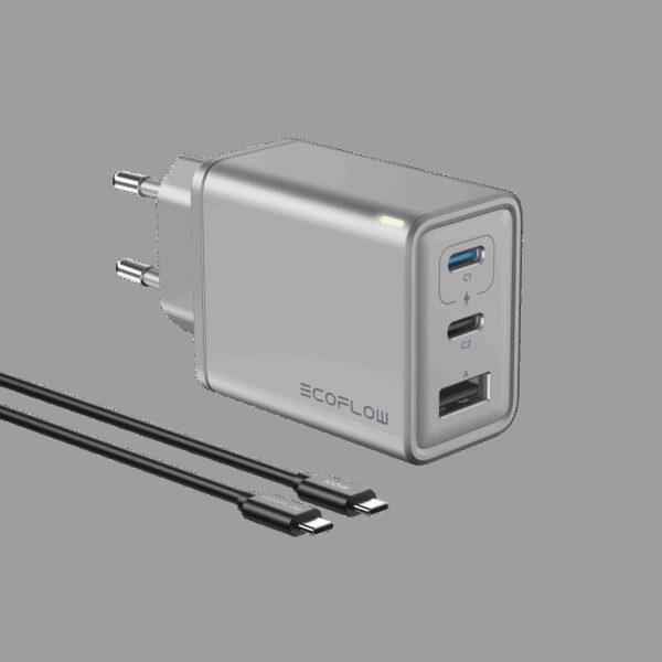 ECOFLOW Rapid Charger 65W