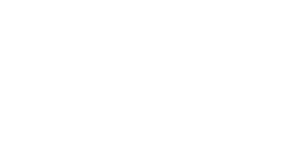 Forside 1 Starlink Logo White.svg 1
